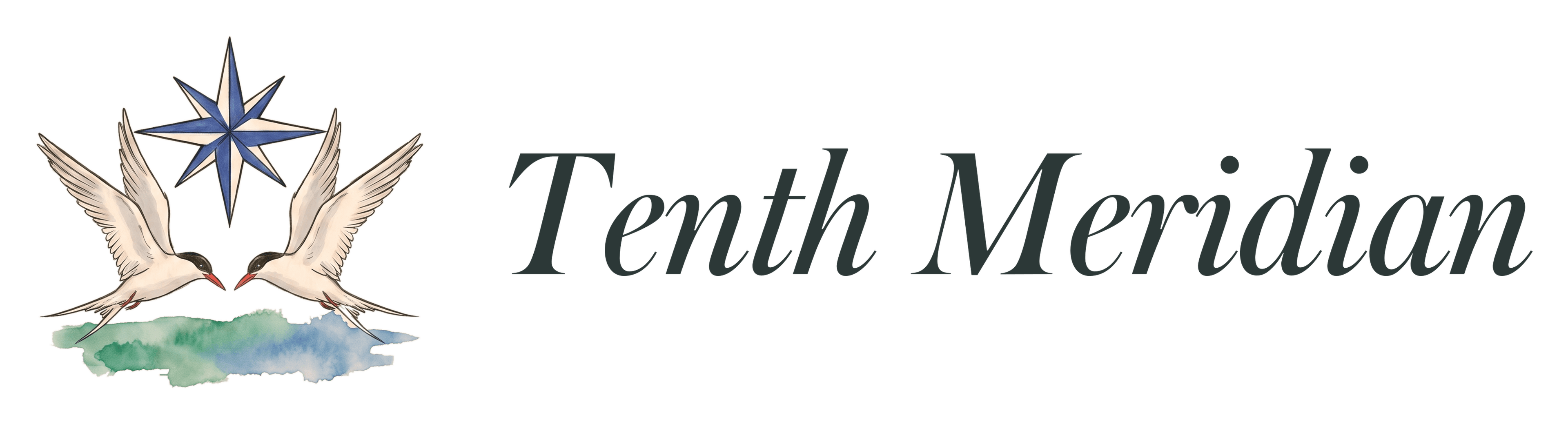 Tenth Meridian